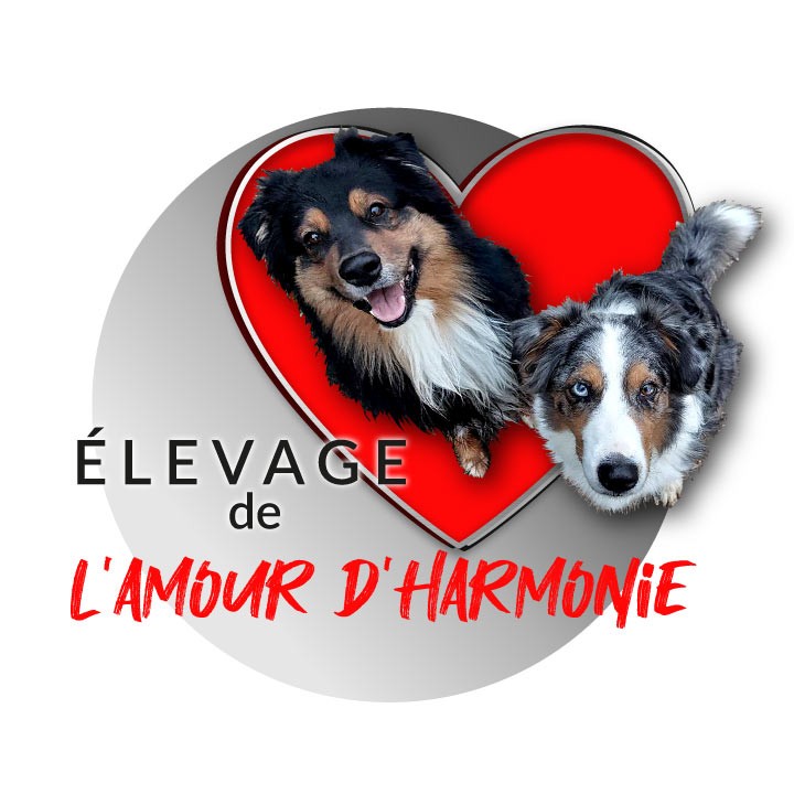 De L'Amour D'Harmonie