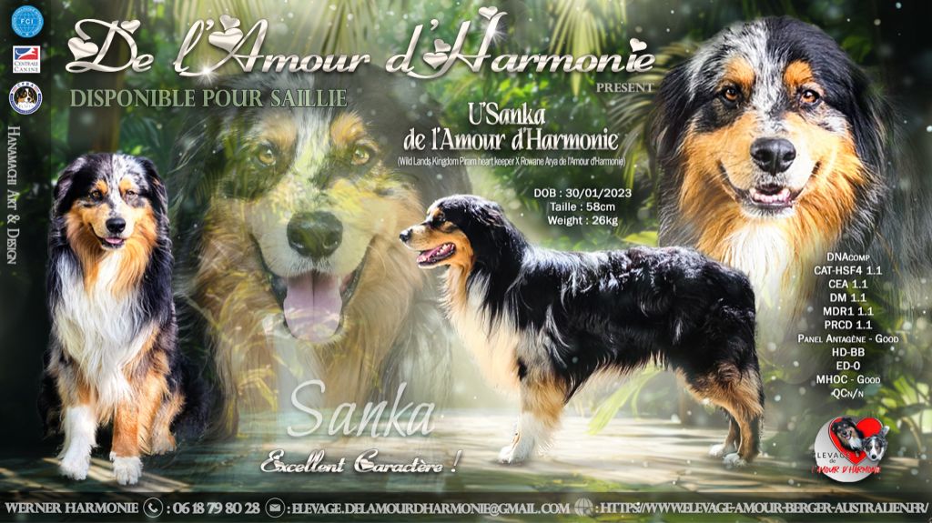 U'sanka De L'Amour D'Harmonie