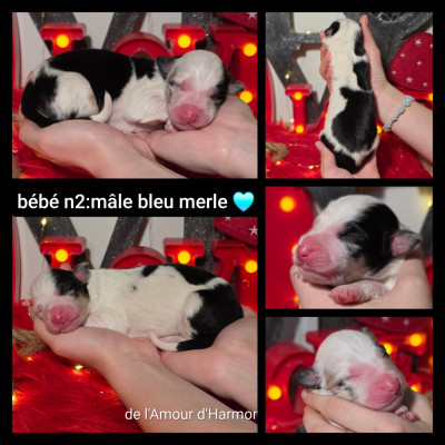 bébé n2