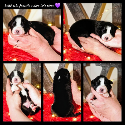 Bébé n5
