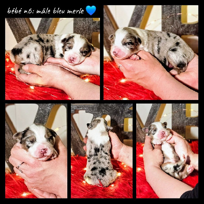 Bébé n6
