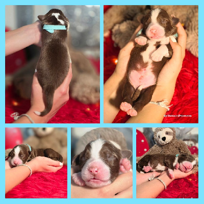 bébé n3